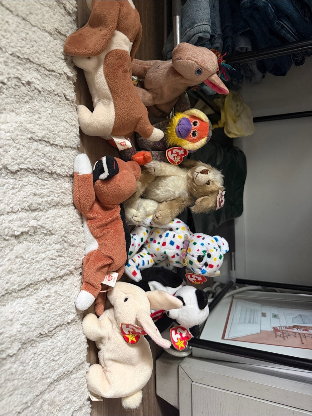 Ty Plush Beanie Buddies Assortment - Brown, White, Multicolor, Cream, Black